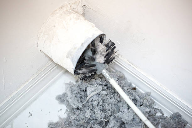 Best Affordable Duct Cleaning Services  in Mays Chapel, MD